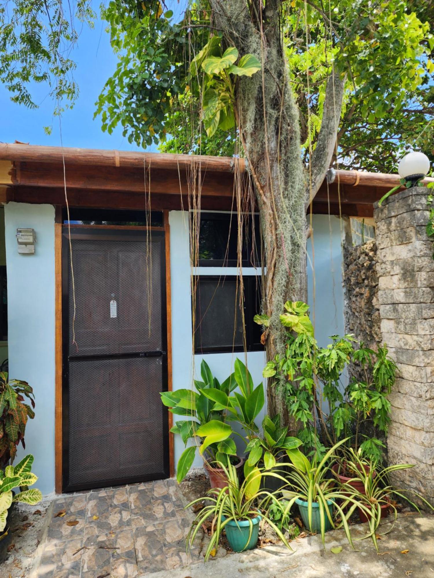 MJ's Residences Moalboal Exterior foto